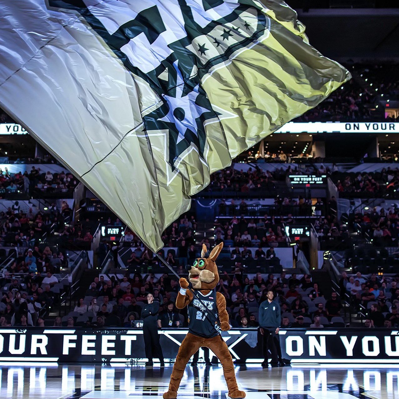 本文将深入 本文将深入